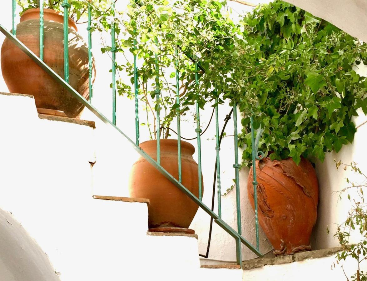 Casa Del Patio Arabe Casas Vejer Debra Villa Vejer de la Frontera Exteriör bild